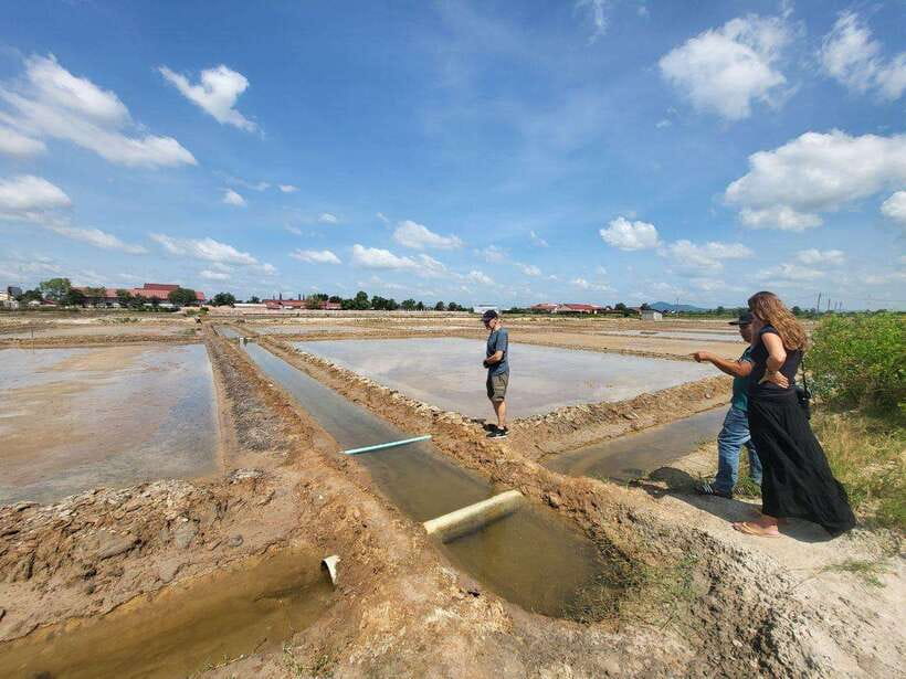 Kampot Pepper Farm, Salt Fields, Cave from Sihanoukville - Key points to know before booking