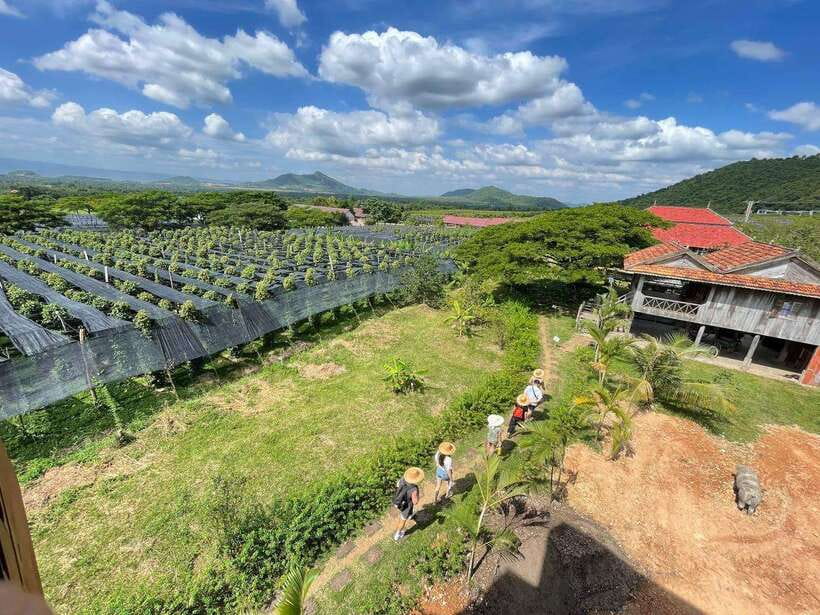 Kampot Pepper Farm, Salt Fields, Crab Market from Phnom Penh - What the $87 price really includes