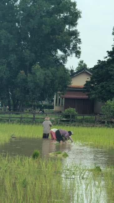 Kampot Pepper & Kep/Crab Market Tours: Salt, Secret lake - The tuk-tuk ride from farm to coast