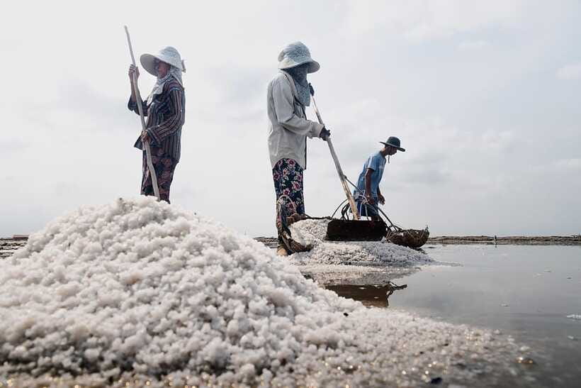Kampot: Salt Fields, Pepper Farm, and Secret Lake Tour - Practical booking advice for a smoother day
