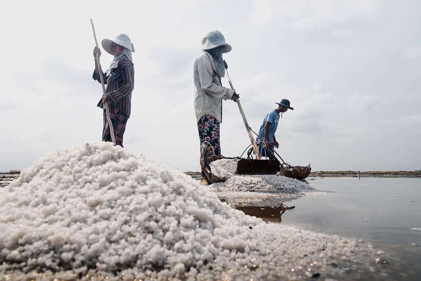 Kampot: Salt Fields, Pepper Farm, and Secret Lake Tour - Salt fields near Kampot: useful, but expect a working site