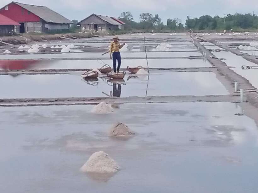 Kampot: Tuk Tuk Trip to Pepper Farm, Kep, Crab Market & More - Salt fields: a useful first lesson
