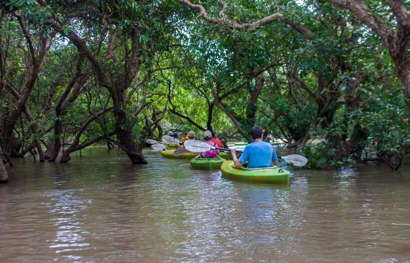 Kayaking & Floating Village in Siem Reap - Key points to know before you book