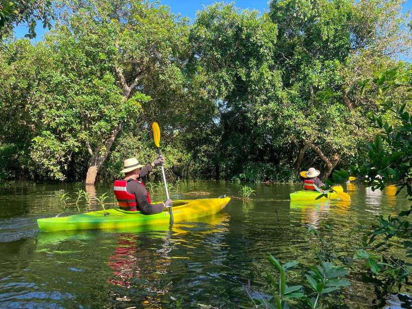 Kayaking & Floating Village in Siem Reap - From the floating houses to the mangrove forest