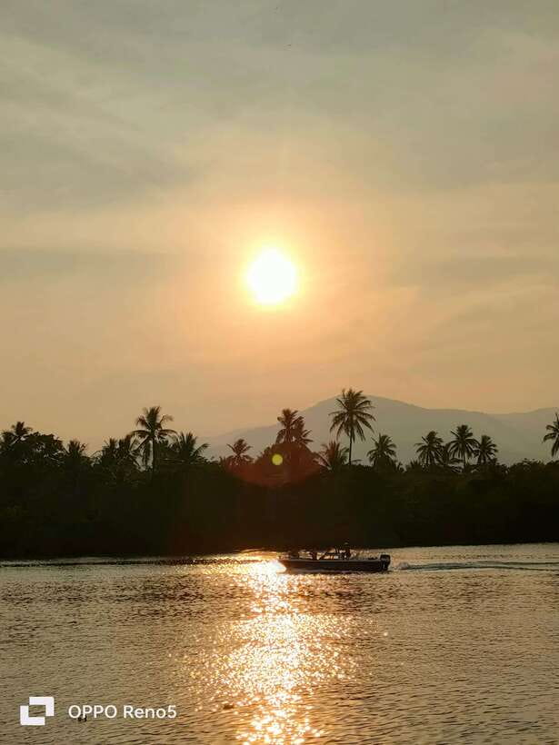 Kayaking tour around green cathedral - Guides, Photos, and the Human Touch
