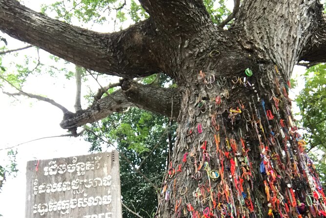 Khmer Rouge, genocide museum &killing field tour - What the private vehicle and guide add