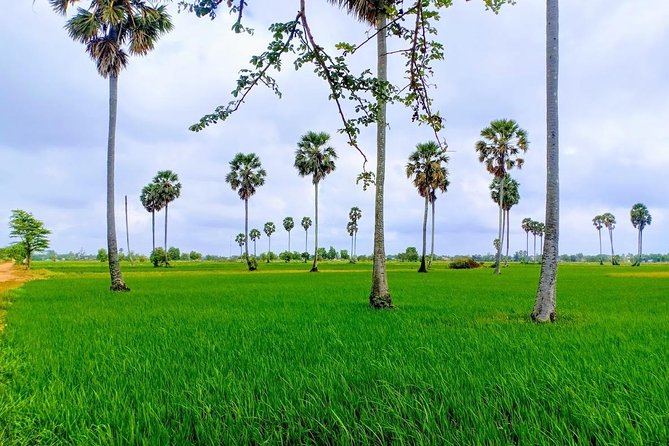 Killing Field & Paddy Rice Fields Tuk Tuk Adventure - Chambak Bet Meas Pagoda and the first three hours