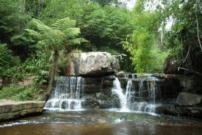 Kirirom National Park Private Day Tour from Phnom Penh