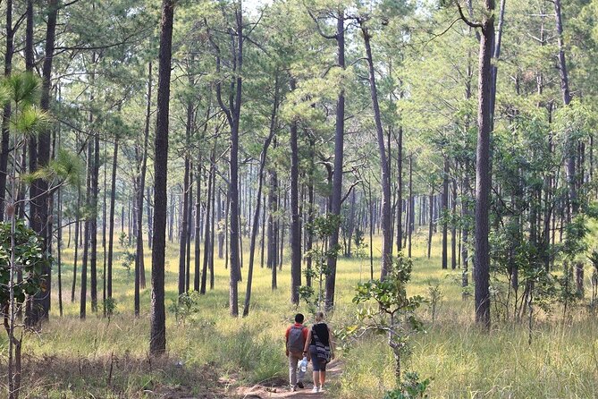 Kirirom National Park Private Day Tour from Phnom Penh - What the private format is really worth