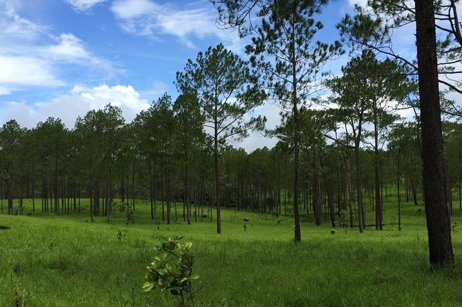 Kirirom National Park Private Day Tour from Phnom Penh - Physical effort, comfort, and who should book