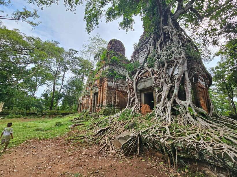 Koh Ker & Beng Mealea Day Trip from Siem Reap - Key points about this temple day trip