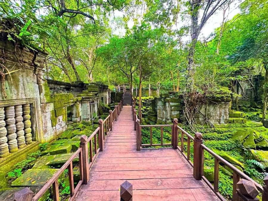 Koh Ker & Beng Mealea Temple Guided Tour - Key points at a glance