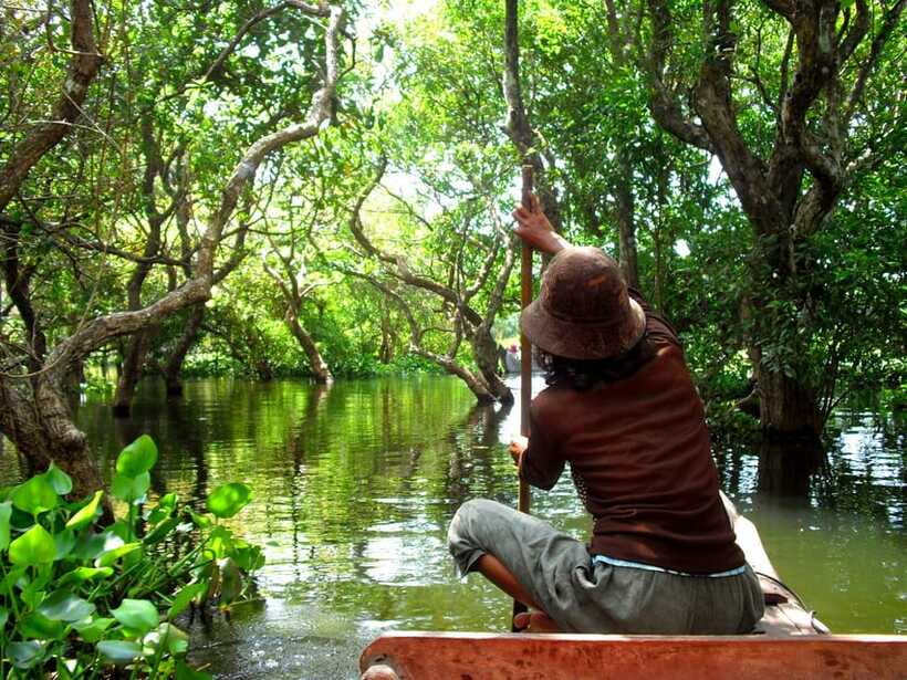 Kompong Phluk and Tonlé Sap Lake: Half-Day Tour - Is $45 good value?
