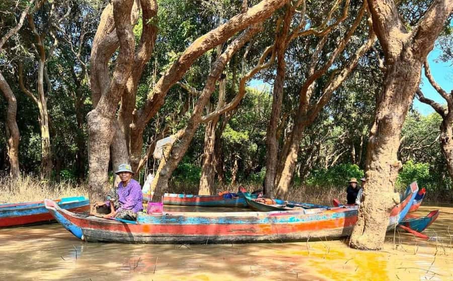 Kompong Pluk Tour - The flooded forest from October through January