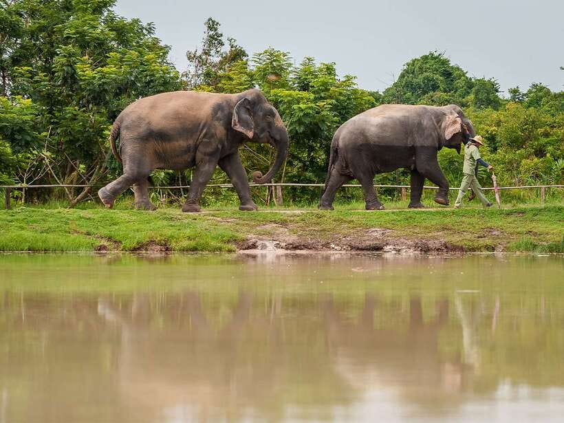 Kulen Adventure tour by Jeep with Picnic & Elephant Forest - Key points at a glance