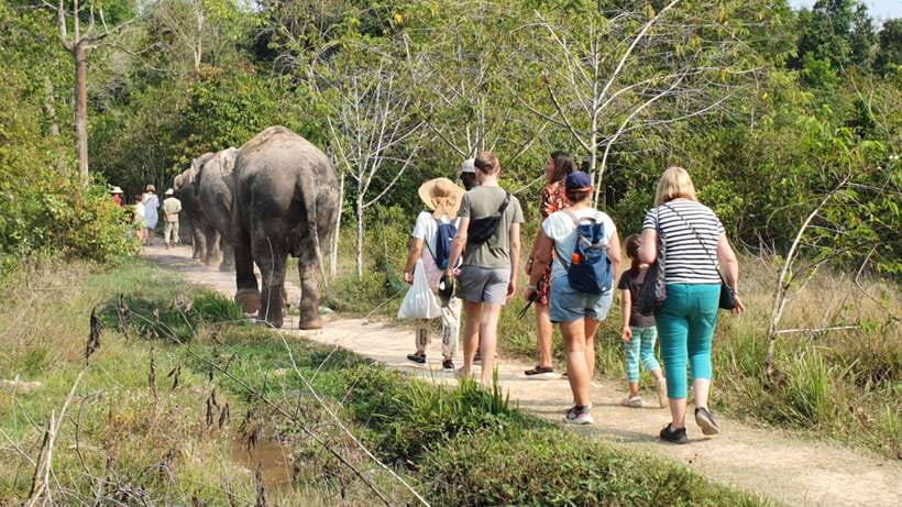 Kulen Elephant Forest and Banteay Srei Temple Tour - Why the guide makes a difference