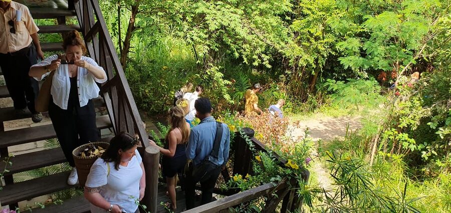 Kulen Elephant Forest and Banteay Srei Temple Tour - Morning or afternoon: choosing the better fit