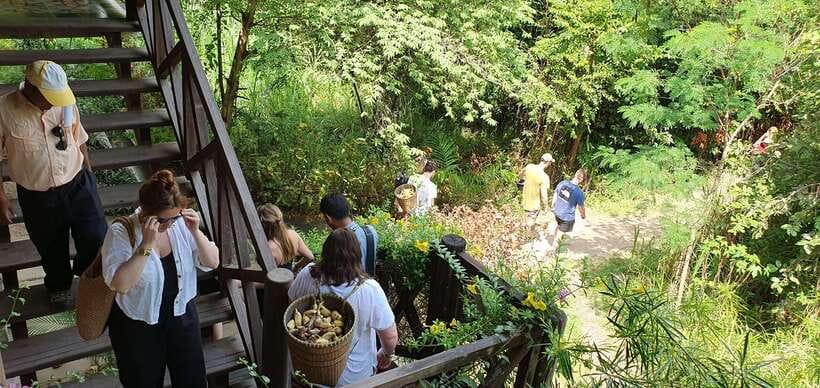 Kulen Elephant Forest and Banteay Srei Temple Tour - Flexibility, pickup, and group size