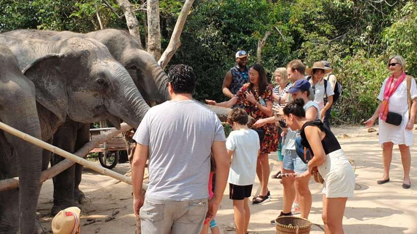 Kulen Elephant Forest and Banteay Srei Temple Tour - Meeting the elephants at Kulen Elephant Forest