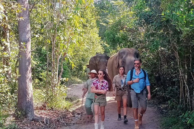 Kulen Elephant Forest and Tonle Sap Lake by Private Tour - Key points before you book