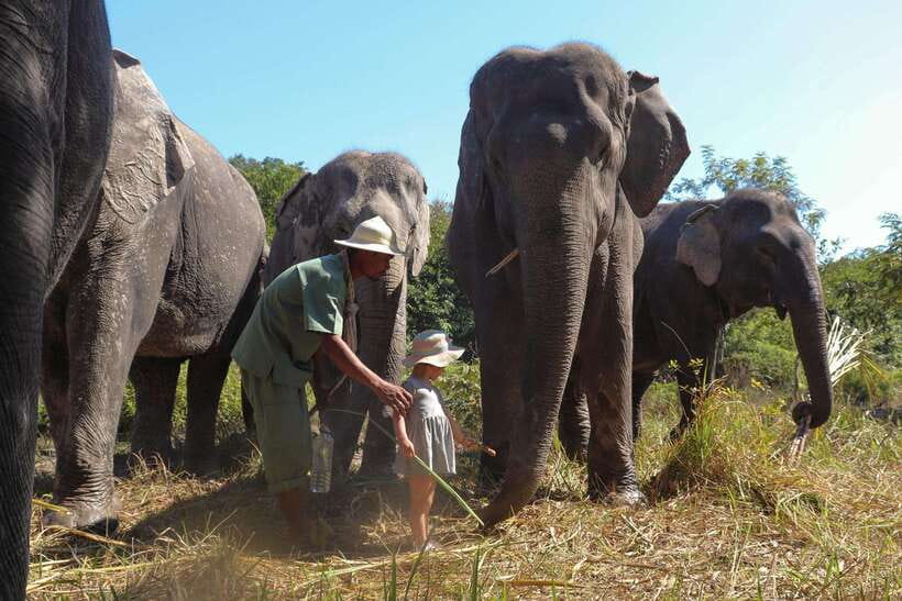 Kulen Elephant Forest Siem Reap in Small Group - Guide quality and the feel of the visit