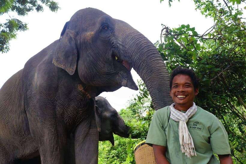 Kulen Elephant Forest Siem Reap in Small Group - First briefing and making elephant snacks