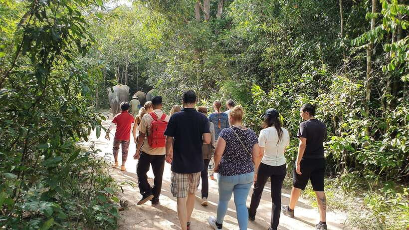 Kulen Elephant Forest & Tonlesap Lake - Who will enjoy this day most