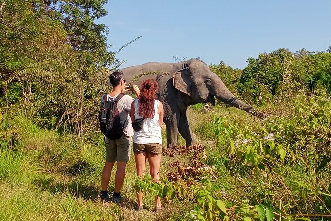 Kulen Elephant Forest & Tonlesap Lake - The flooded forest canoe option