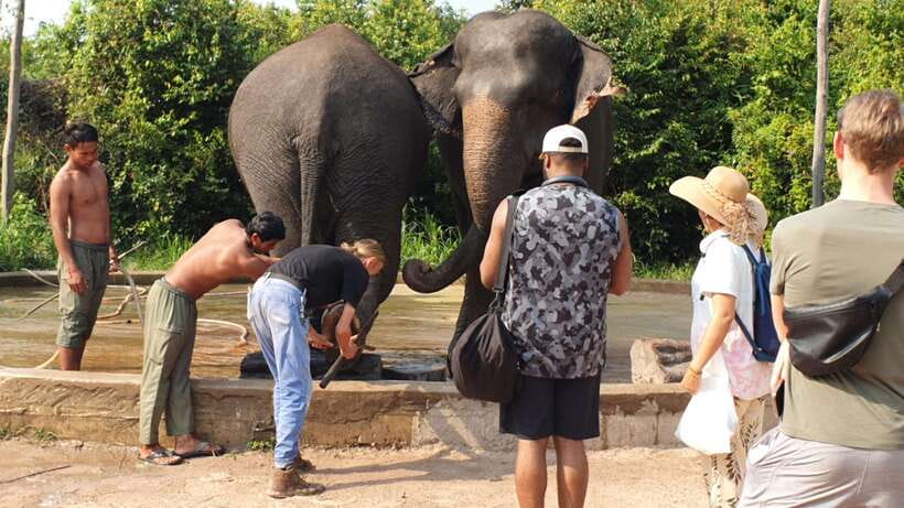 Kulen Elephant Forest & Tonlesap Lake - Guides, drivers, and the small details that shape the day