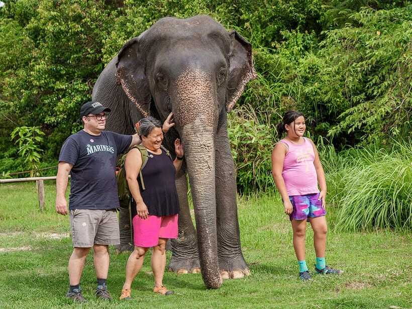 Kulen Elephant Forest Tour with Hotel Pick-up & Drop off - Walking through the forest at elephant speed