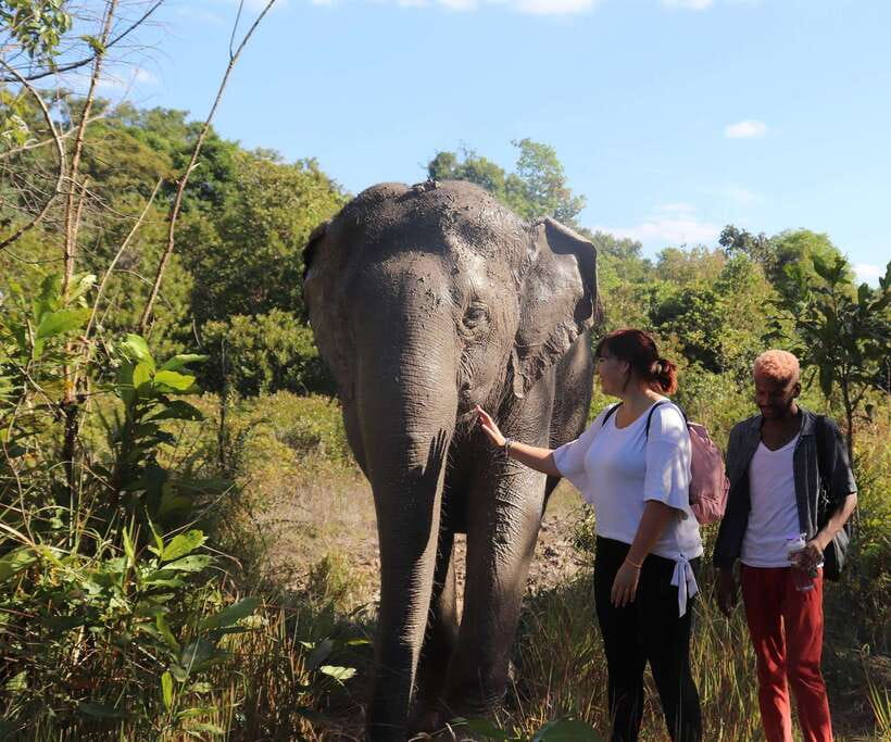 Kulen Mountain Day Trip with Picnic & Kulen Elephant Forest - Preah Dak and the taste of palm sugar