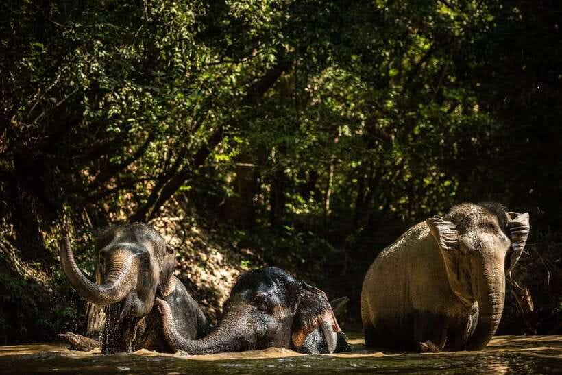 Kulen Mountain Day Trip with Picnic & Kulen Elephant Forest - The 7:30 AM drive through rural Cambodia