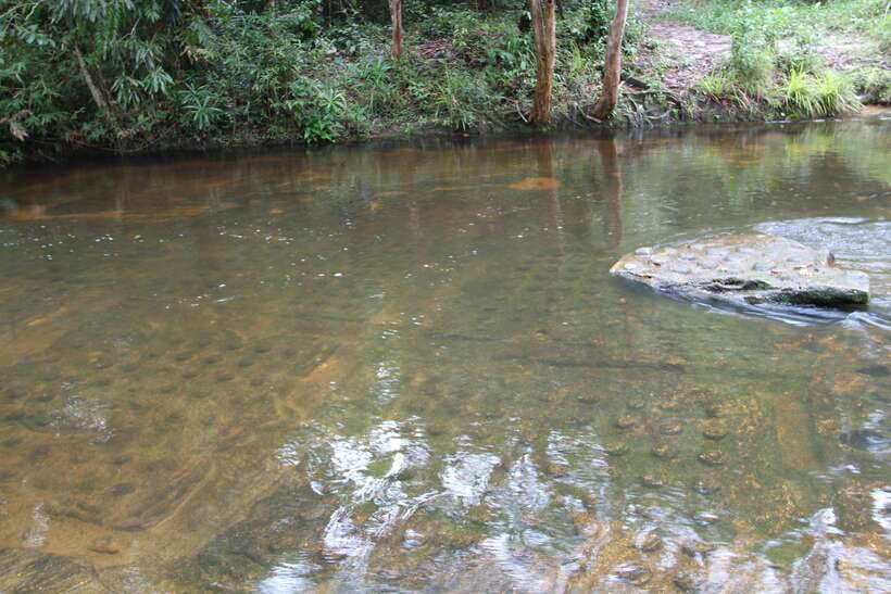 Kulen Mountain: Full-Day Private Waterfall Tour - Who will enjoy this mountain day most