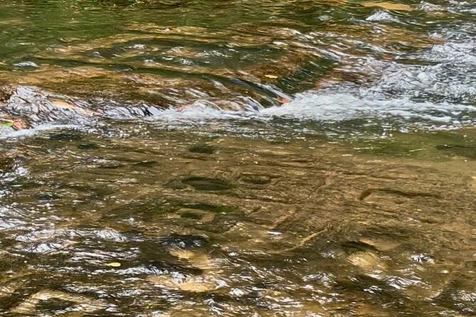 Kulen Mountain Waterfalls the National Park - Pausing at Poeng Ta Khao viewpoint