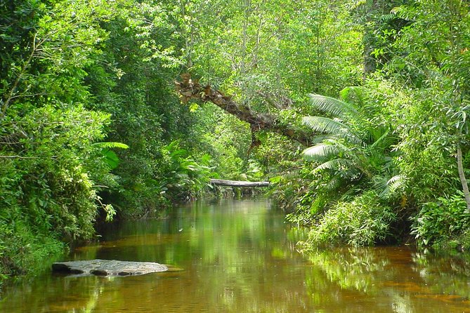 Kulen National Park Ticket - Phnom Kulen Waterfall is the day’s big reward