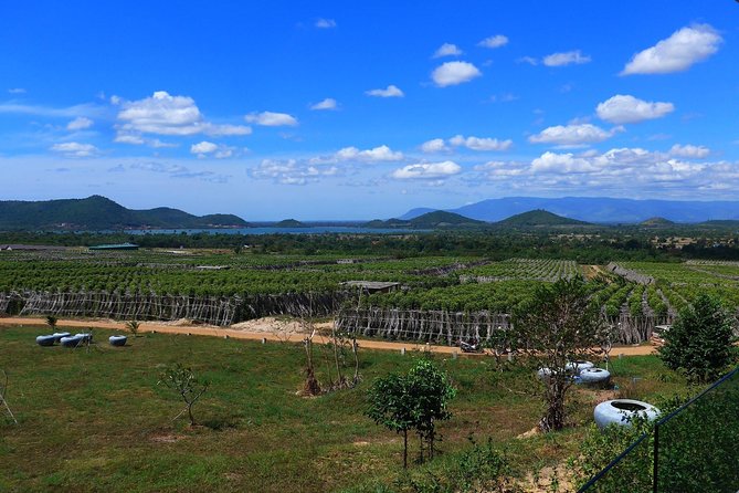 La Plantation tour (discovering Kampot Pepper) + Lunch - What the one-hour farm visit covers