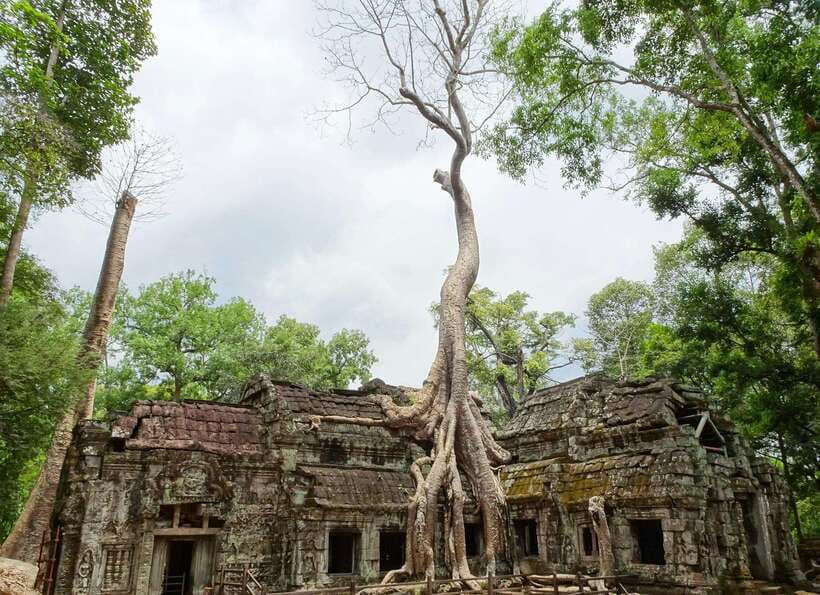 Luxury Private 2-Day Angkor Wat with English or German Guide - Price, passes, and overall value