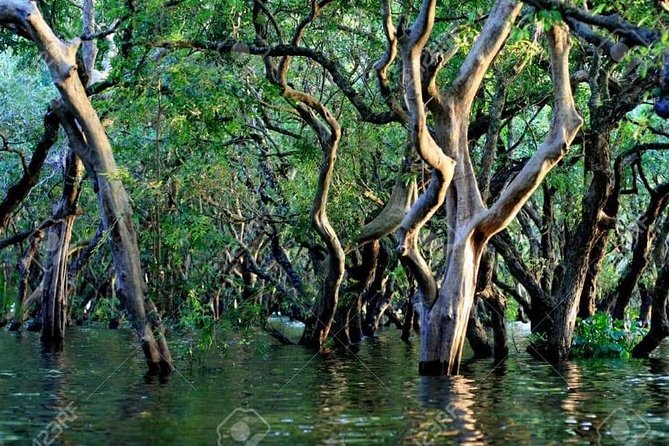 Mechrey Floating Village Tour & Mangrove from Siem Reap - Who should choose Mechrey?