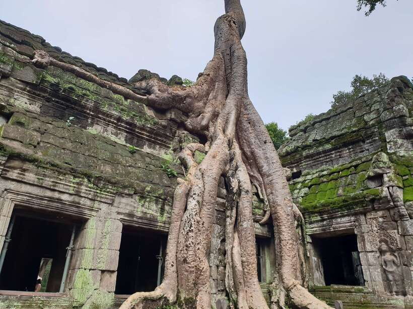 Mixture of temples and waterfall. - Key points to know before booking