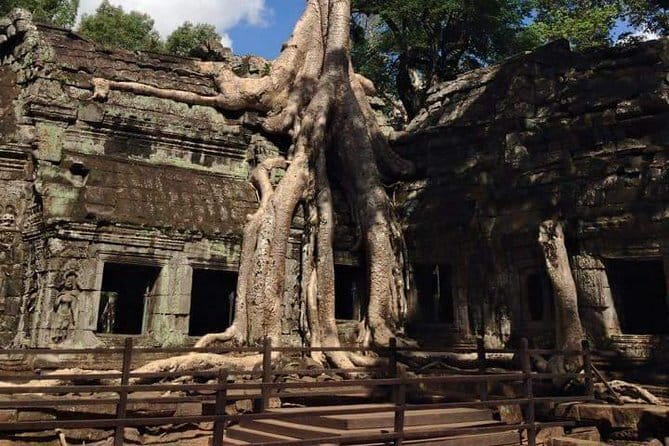 Night Street Tour in Siem Reap - Who will enjoy this Siem Reap night tour