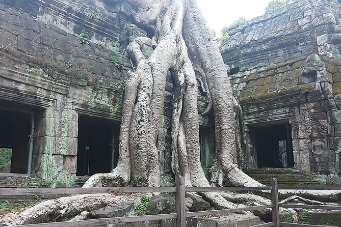 One day Angkor temple tour with private driver - Driver, guide, and the value of private attention