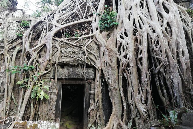 One Day Angkor World Heritage Tour - The comfort of a private, air-conditioned car