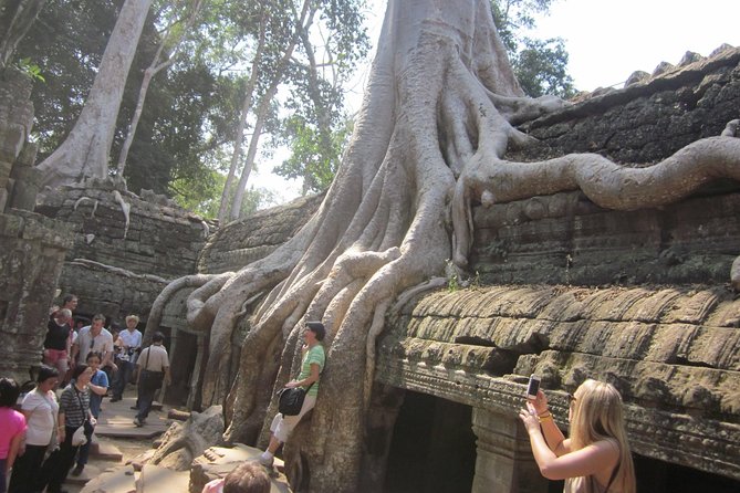 One Day Angkor World Heritage Tour - Why an early start can improve the day