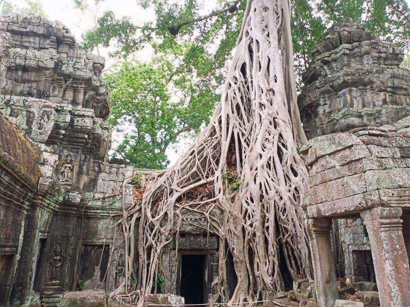 One Day Exploration to Angkor Wat, Angkor Thom & Ta Prohm - Bayon and the 216 stone faces