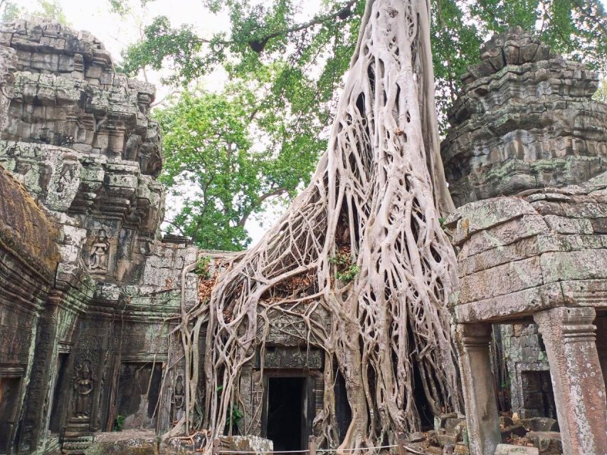 One Day Shared Trip to Angkor Temples with sunset - Baphuon, Phimeanakas, and the royal terraces