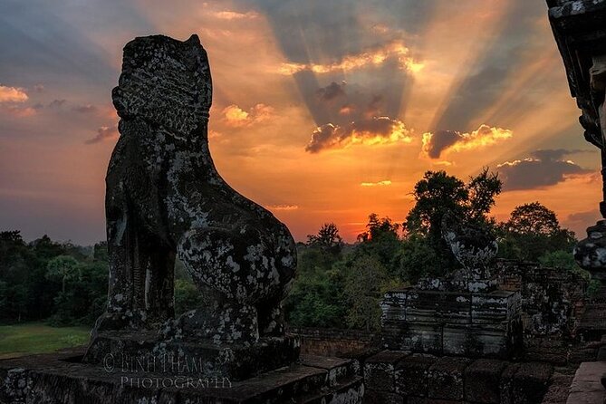 One Full Day Private tour of Angkor Wat, Ta Prohm, Angkor Thom & Banteay Srie - Ta Prohm, where the jungle takes a turn