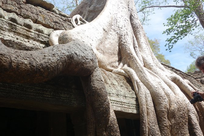One Private Full Day Guided Tour to Angkor Wat - Starting at 8:00 in Siem Reap