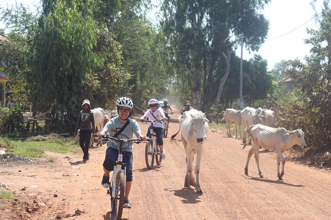 Oudong Mountain And Floating Village Cycle Tour - What the $85 price really covers