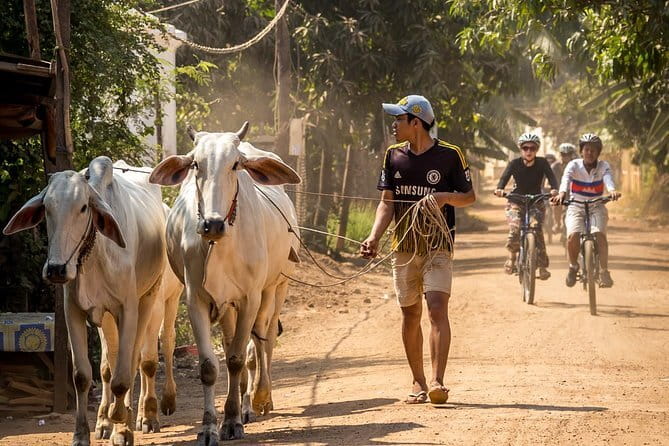 Oudong Temples & Phnom Prasith Private Tour from Phnom Penh - Lunch is on your own, which affects the day’s value
