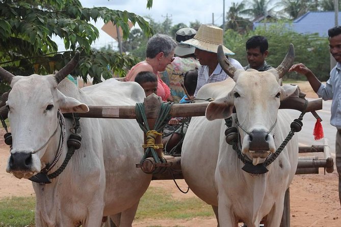 Ox-cart Culture Tour, Countryside Experince in Siem Reap - Key points to know before booking